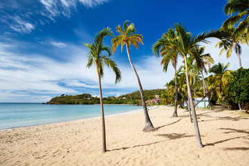 Obraz premium Idyllic beach at Caribbean