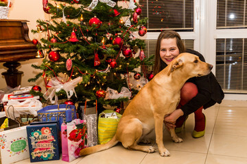 Girl with dog on christmas