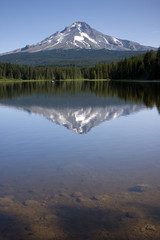 Mountain Lake Trillium Mount Hood Oregon Wilderness