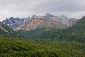 Fototapeta na wymiar Lush Landscape Alaskan Mountain Range