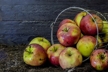 Liegender Drahtkorb mit Äpfeln