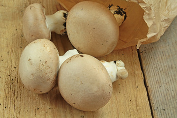 champignons 06022016