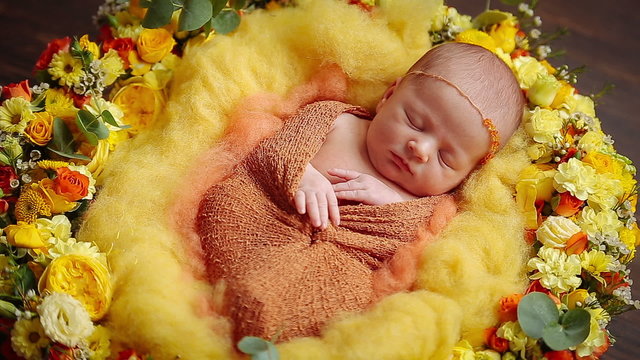 Cute newborn baby girl sleeping in flowers 