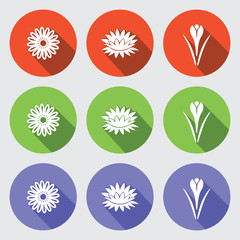 Flower icon set. Camomile, daisy, lily, water-lily, crocus, saffron. Floral symbol. White sign on round green, orange, lilac, flat buttons with long shadow light gray background. Vector isolated.