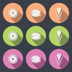 Flower icon set. Camomile, daisy, lily, water-lily, crocus, saffron. Floral symbol. White sign on round green, rose, cream, soft, lilac flat buttons with long shadow dark gray background. Vector