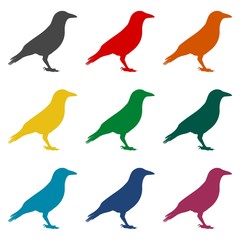 Crow (Raven) vector silhouette icons set