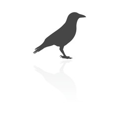 Crow (Raven) vector silhouette icon