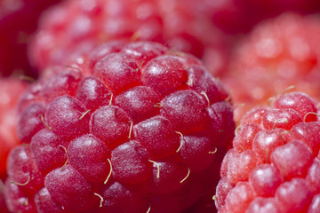 Macro of red and juicy raspberries