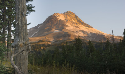Mountain Landscape Mt Hood Oregon