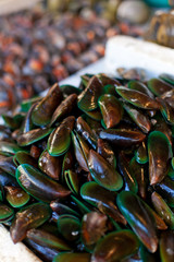 Oysters, mussels and scallops