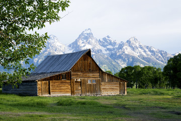 Fototapeta na wymiar Famous barn landmark under snow capped mountains in the Grand Tetons.