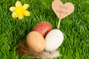 Drei Ostereier im Gras mit Schild und Text: 