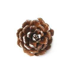 Single decorational pine cone isolated