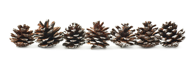 Decorational pine cones isolated