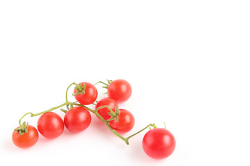 マイクロトマト