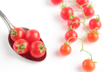 マイクロトマト