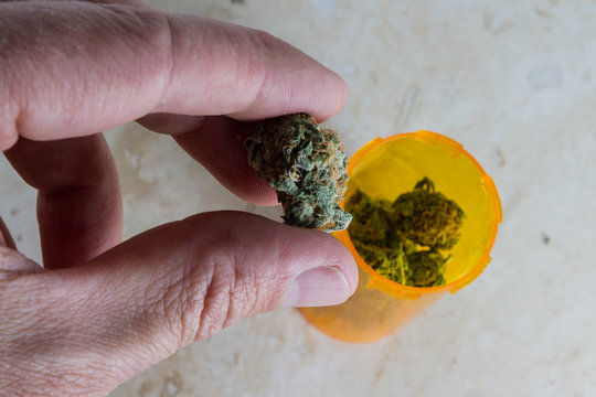 Medicinal cannabis in a prescription bottle