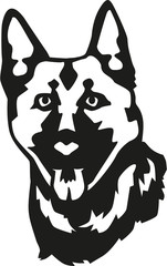 German Shepherd head