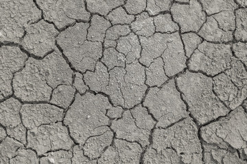 Soil drought cracks texture white and black.