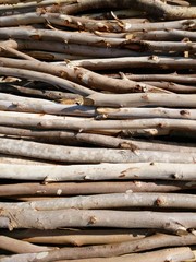 the logs for making firewood
