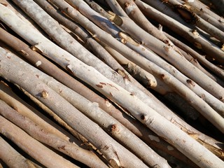 the logs for making firewood