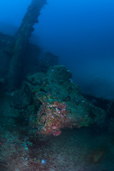 Fototapeta na wymiar 100 feet underwater. Actual underwater photo of Ha-Go Japanese tank on the deck of wreck ship Nippo Maru in Micronesia. Depth 30 meters.This ship become a home for many fishes and corals since 1942.