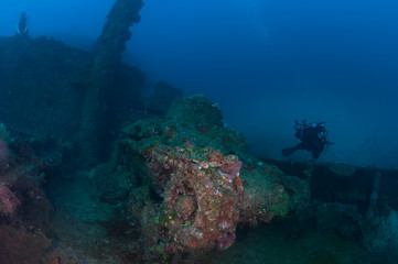Fototapeta na wymiar 100 feet underwater. Actual underwater photo of Ha-Go Japanese tank on the deck of wreck ship Nippo Maru in Micronesia. Depth 30 meters.This ship become a home for many fishes and corals since 1942.