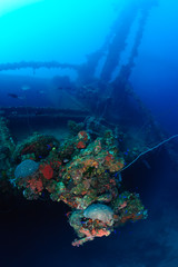 Fototapeta na wymiar 100 feet underwater. Actual underwater photo of wreck ship Nippo Maru in Micronesia. Depth 30 meters.This ship become a home for many fishes and corals since 1942.