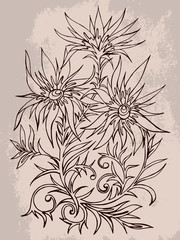 Vector hand drawn illustration with contour of flowers on textured background.