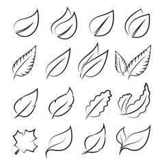 Vector leaves icon set on white background