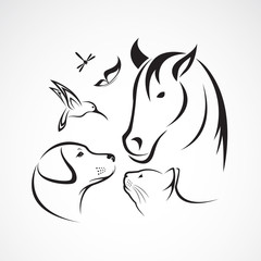 Vector group of pets - Horse, dog, cat, bird, butterfly, dragonfly.