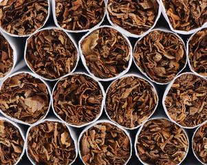 Closeup of Tobacco Cigarettes Background or texture