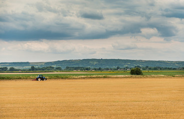 Obraz premium Yellow-green field beautyful