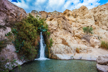 Fototapeta premium The falls among stones