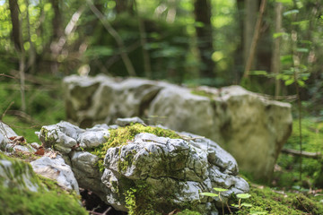 Rückeroberung des Paradieses (aufgelassener Steinbruch in der Franche-Comté)