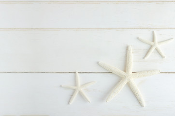 Fototapeta na wymiar Starfishs