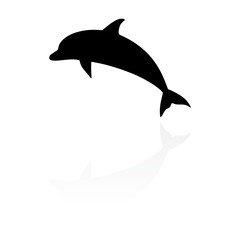 Dolphin icon