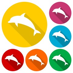 Dolphin icons set with long shadow