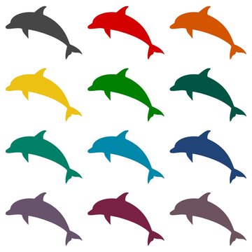 Dolphin icons set