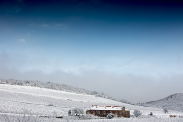 Vineyard with building in winter