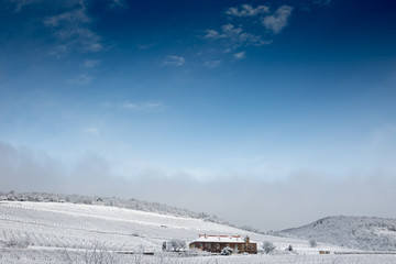 Vineyard with building in winter