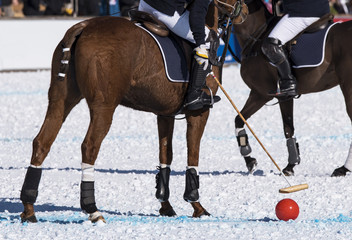 Snow polo