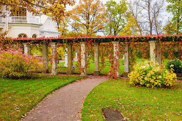Fototapeta premium Beautiful alley in a country house in autumn, Saint-Petersburg, Russia.