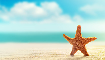 Fototapeta na wymiar Summer beach. Starfish on a sandy beach.