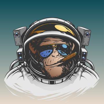 Monkey Astronaut Illustration