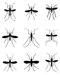 Black silhouettes of different mosquito, vector