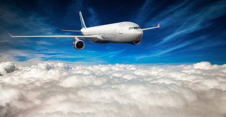 Naklejka na ściany i meble Passenger Airliner in the sky