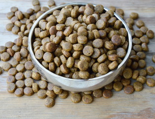 dog food in circle stainless bowl