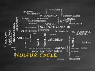Sulfur cycle