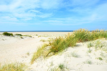 Dünenlandschaft, Insel Rømø, Dänemark